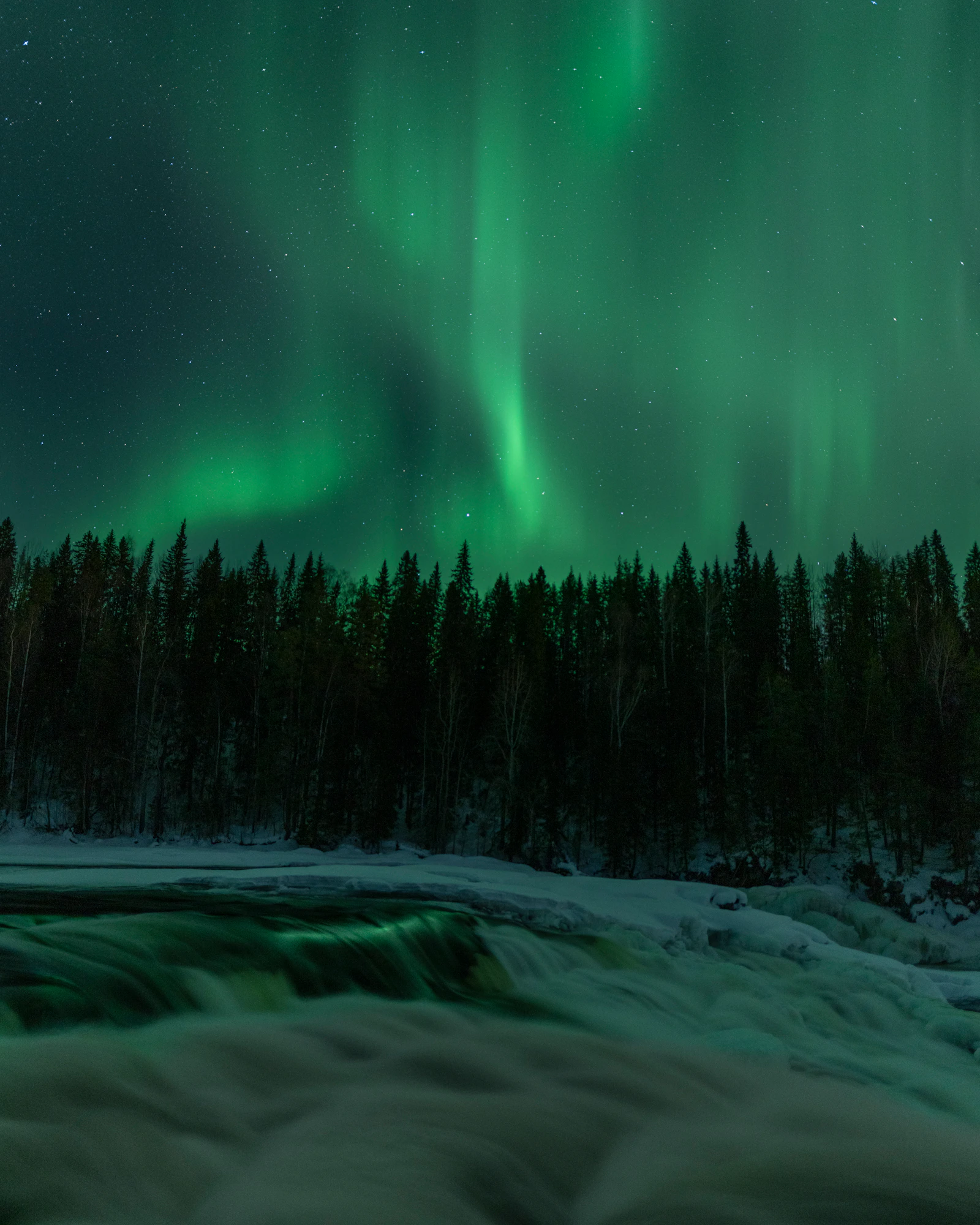 Grünes Polarlicht über verschneiter Landschaft in Finnisch-Lappland im Januar