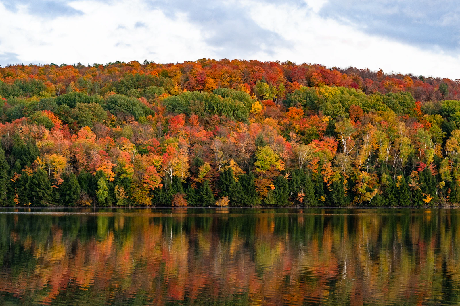 Herbstlich gefärbte Wälder am See in Neuengland im September